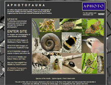 Tablet Screenshot of aphotofauna.com